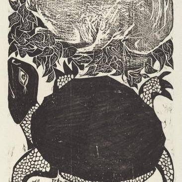 The Hare and the Tortoise