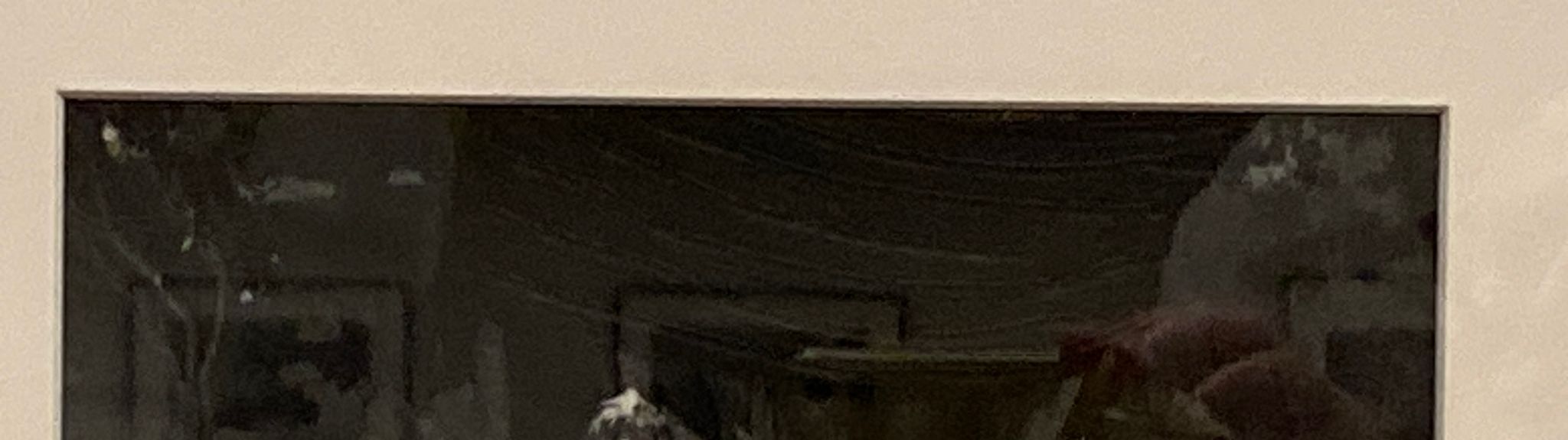 Trampa puesta (Set Trap)