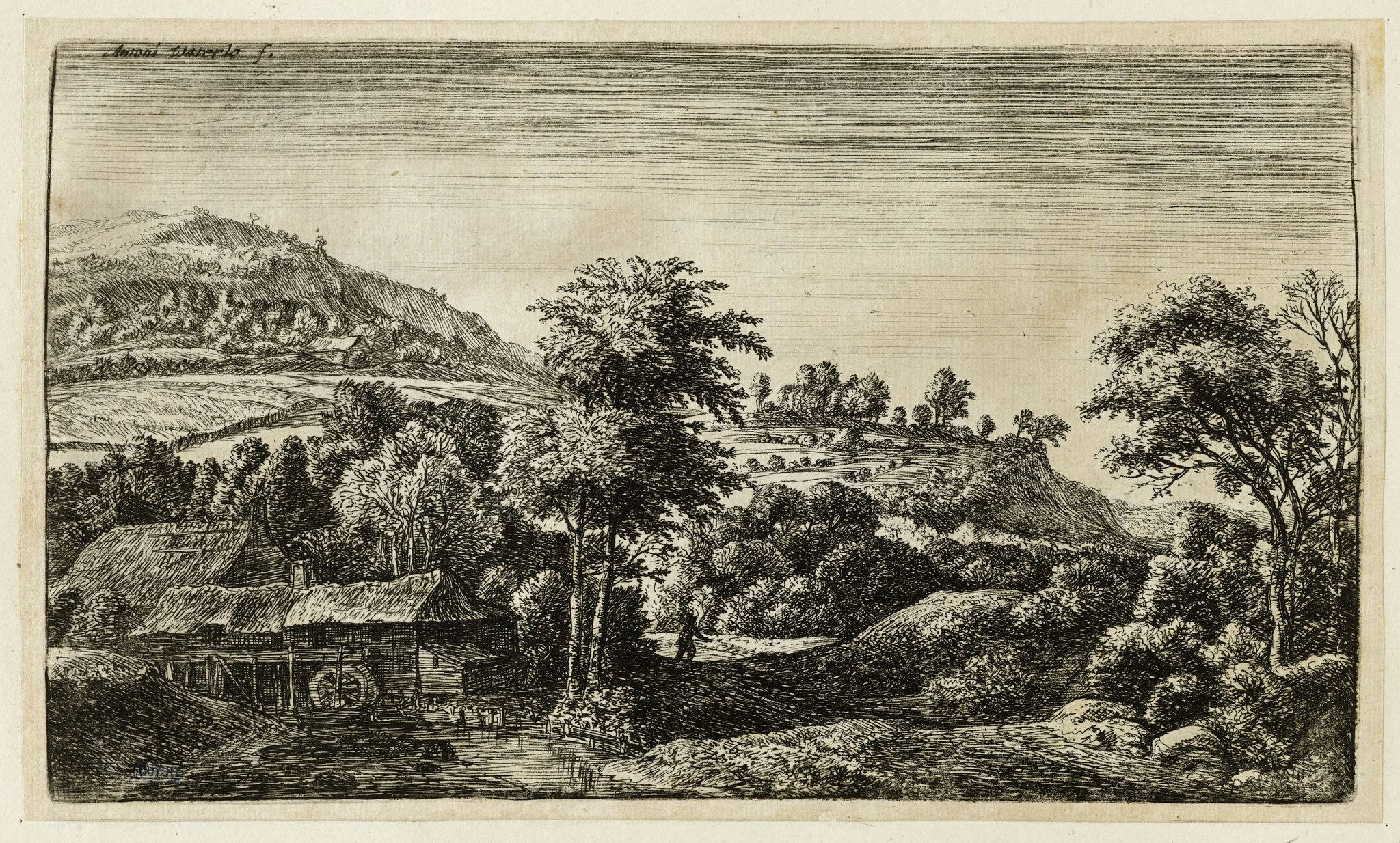 Object Image