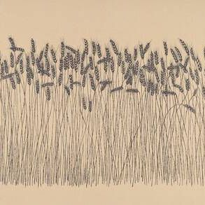 Wheat Field