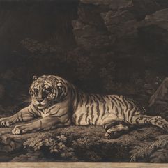 John Dixon