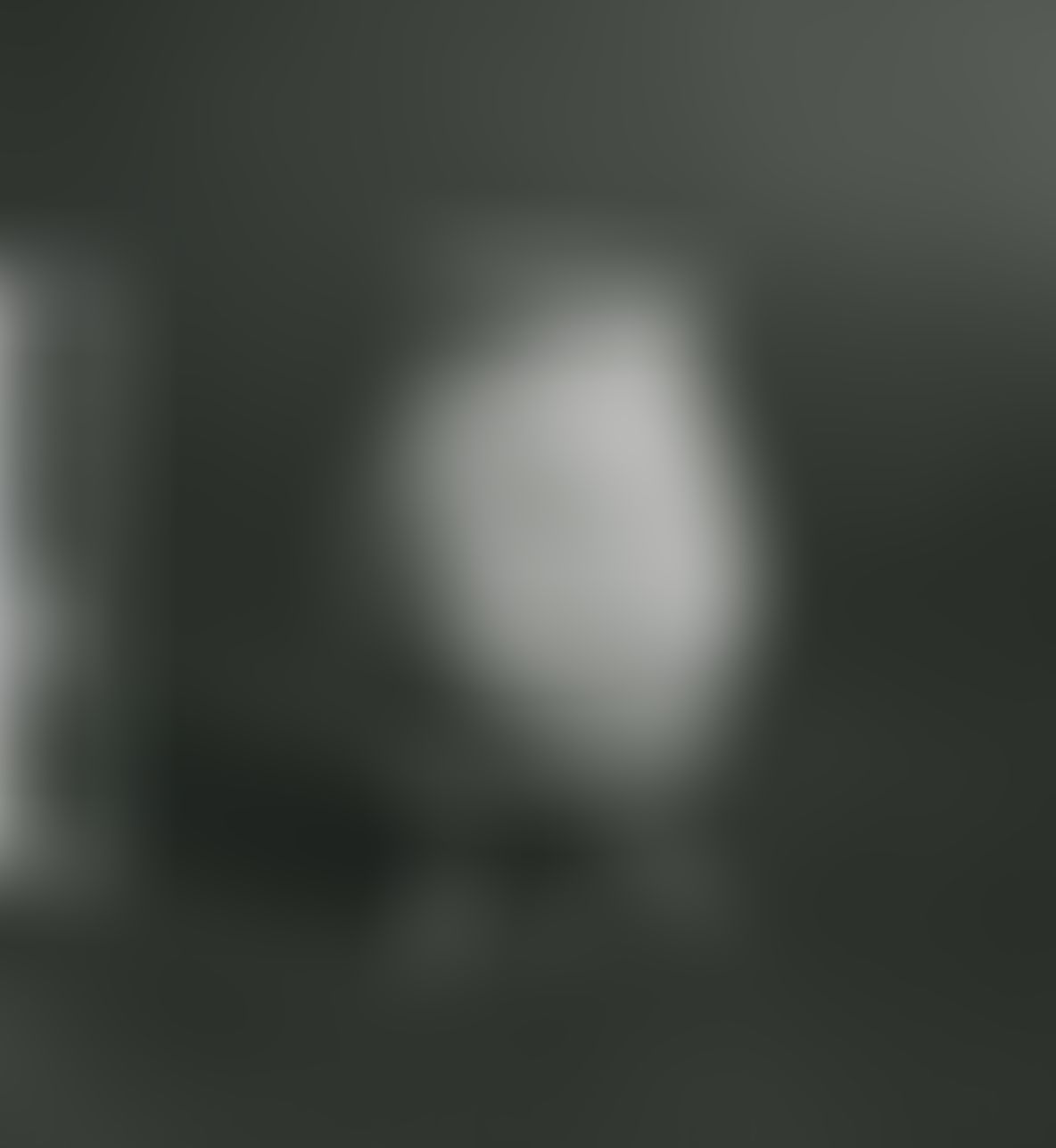 Object Image