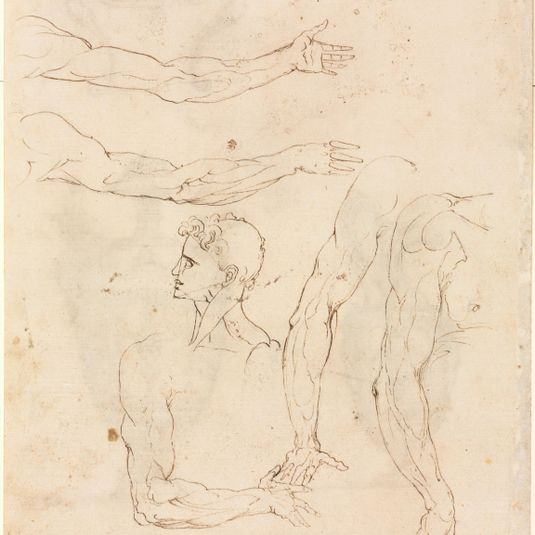 Sketches of Five Arms and a Head (verso)