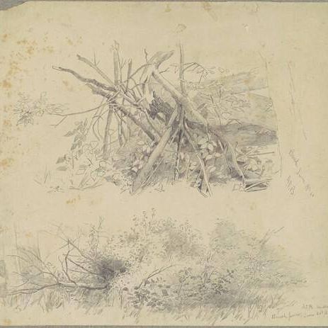 Brush; and Hudson Brush Fence
