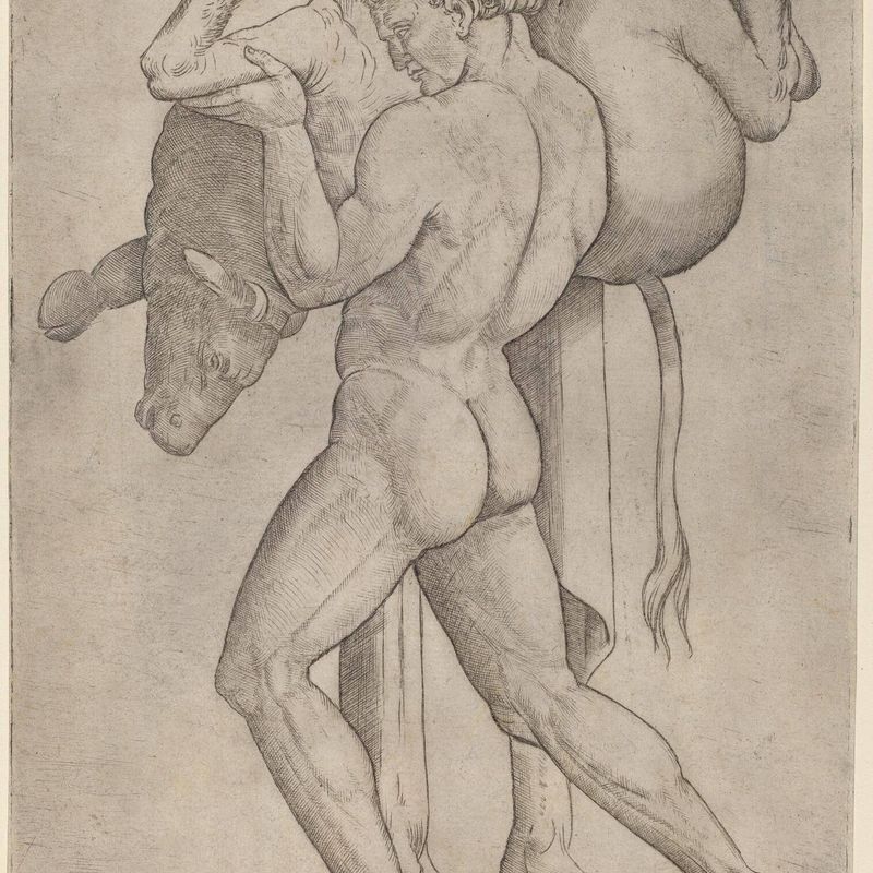 Hercules and the Cretan Bull