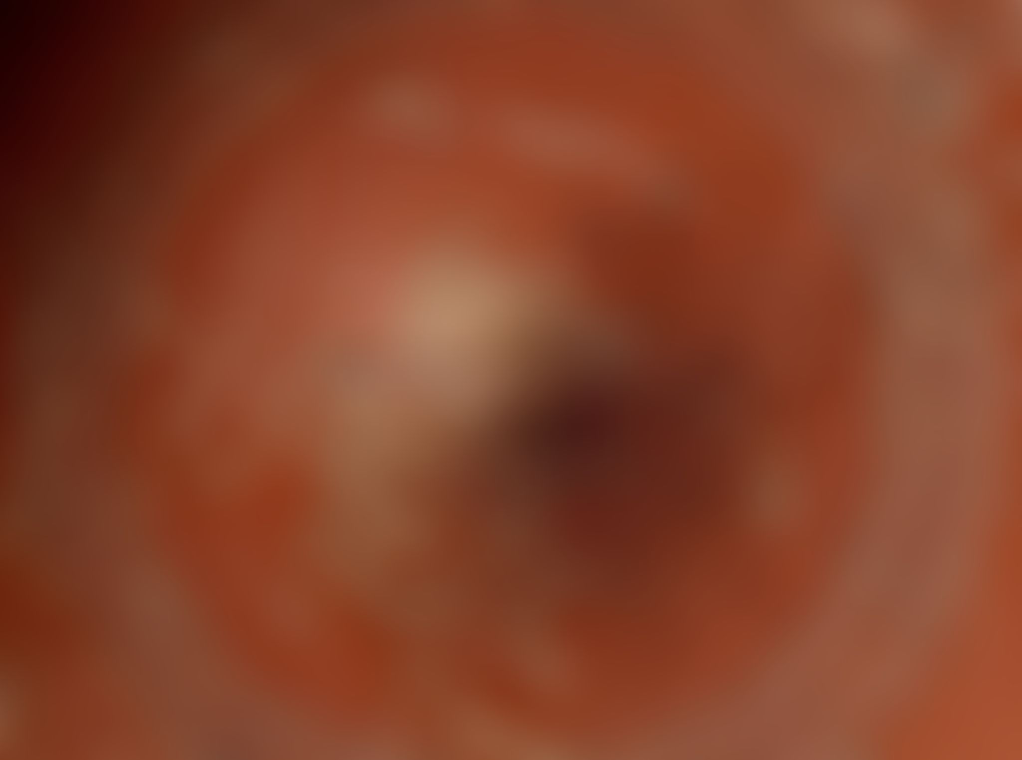 Object Image