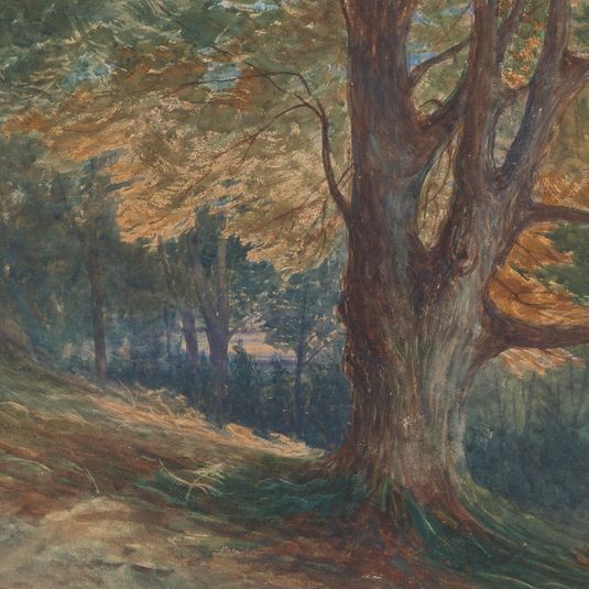 Trees on a Hill in a Wooded Lanscape