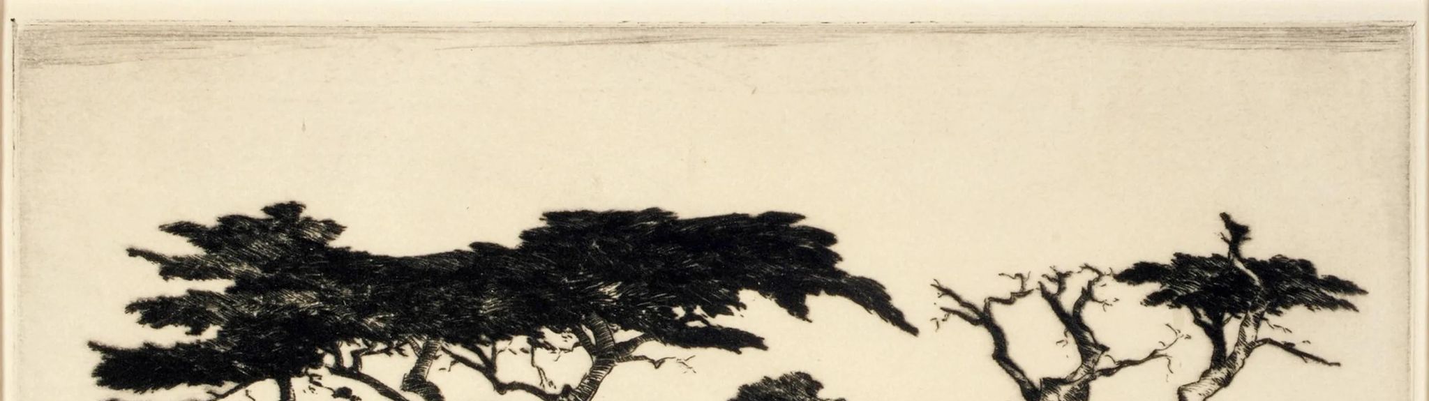 Cypress, Monterey