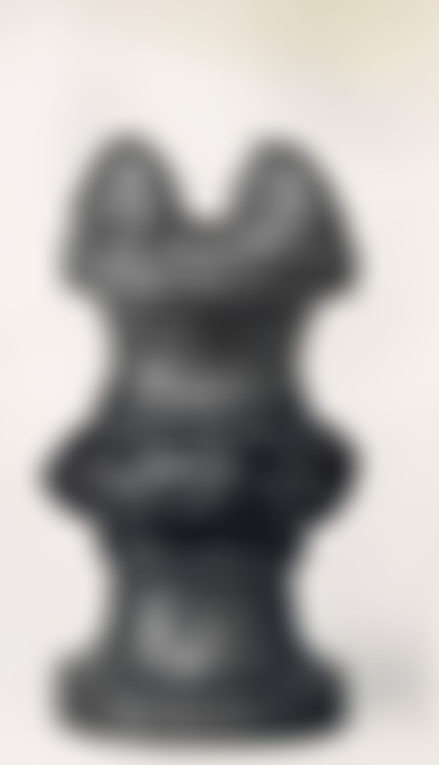 Object Image