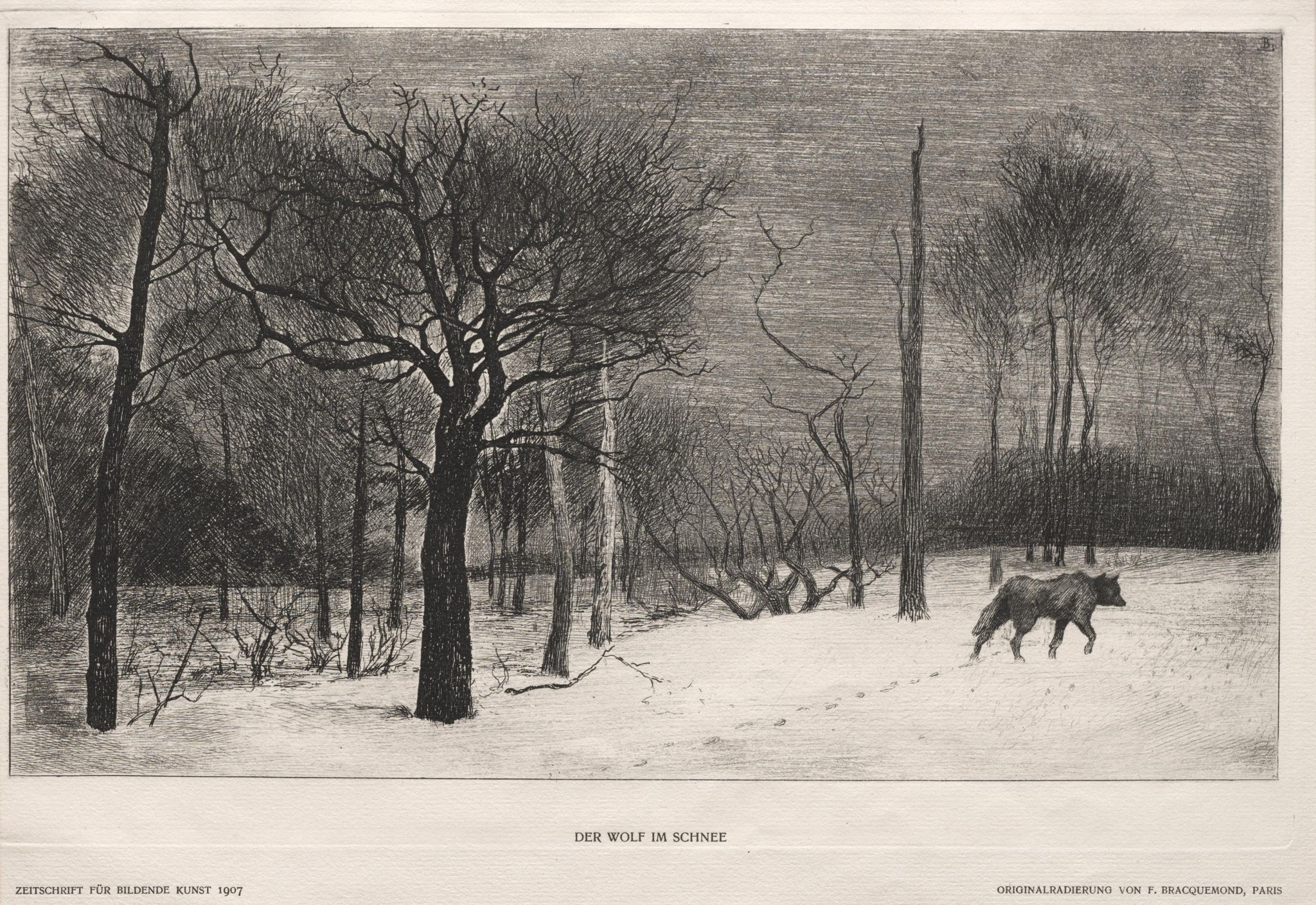 Object Image