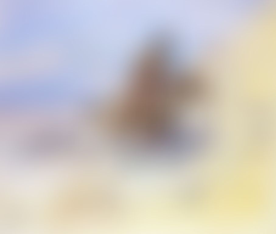 Object Image