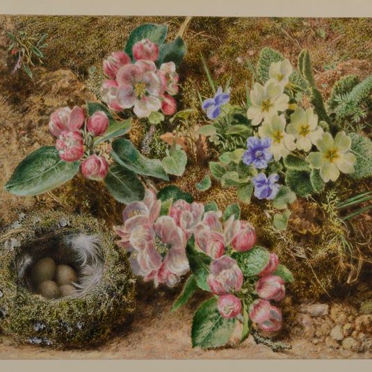 Primroses, Apple Blossom and Bird's Nest