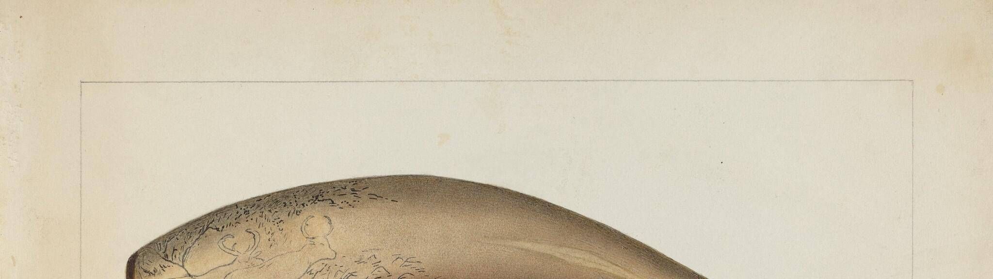 Powder Horn