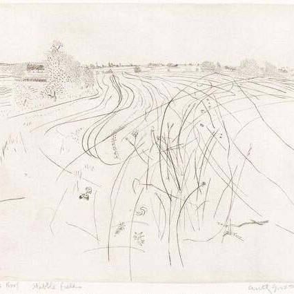 Stubble Fields