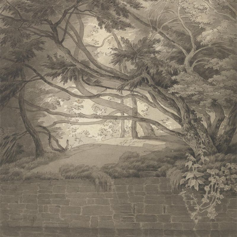 Trees Overhanging a Lake