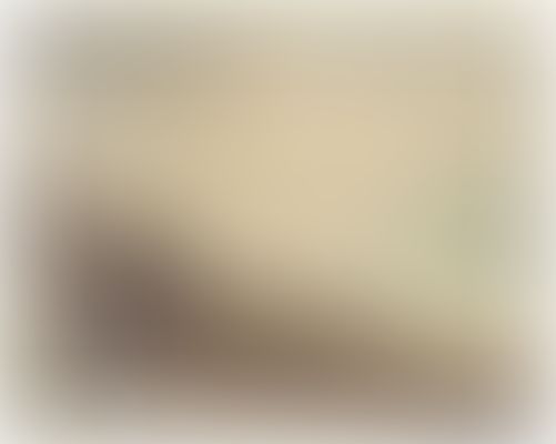 Object Image