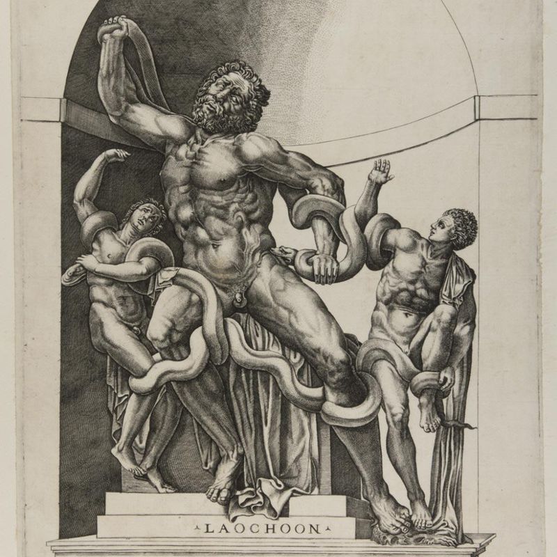 Laocoön and His Sons (The Laocoön Group)