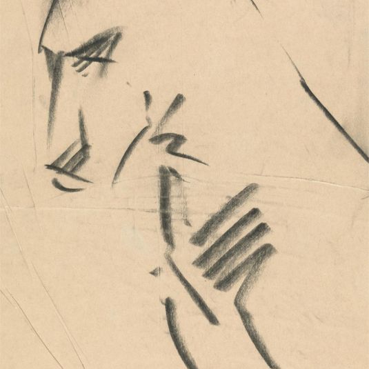 Three-quarter View of a Lioness