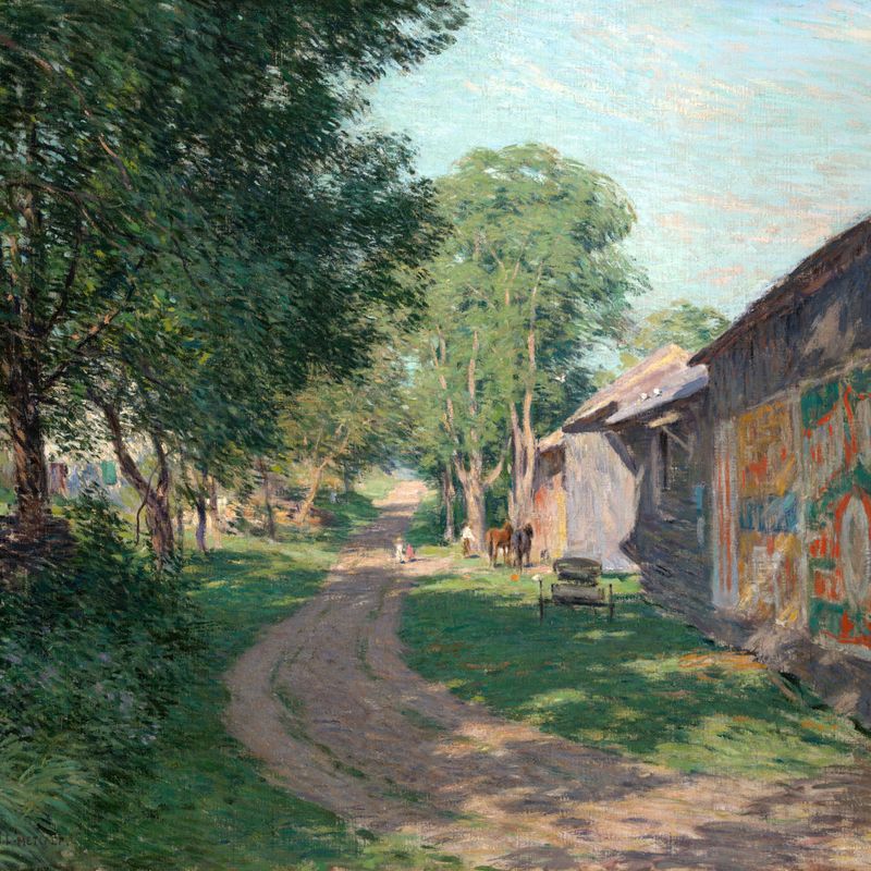 Midsummer Shadows