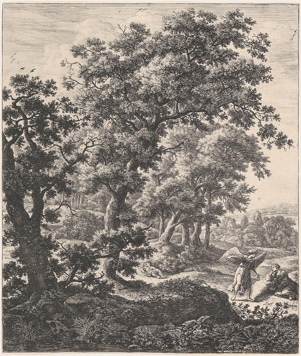 Object Image