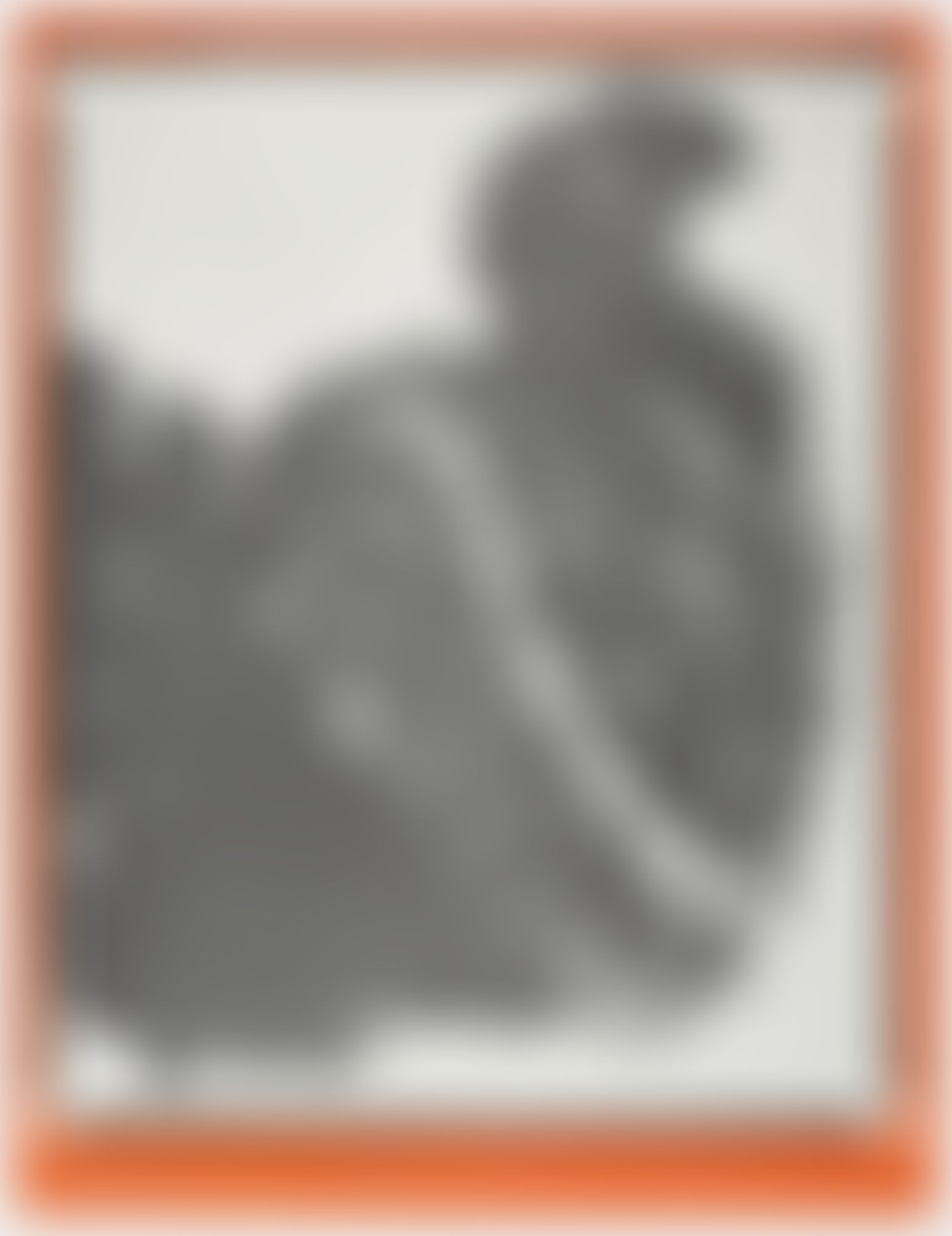 Object Image