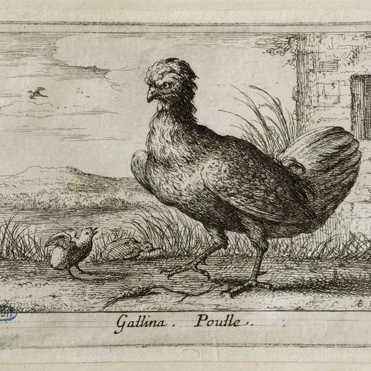 Différents oiseaux, La poule (Robert-Dumesnil 396, Bartsch 78)