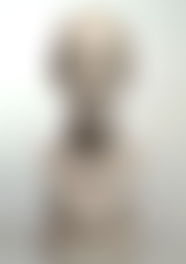 Object Image