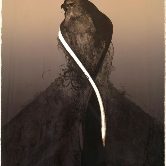 Hawk IV, from the series Acoma