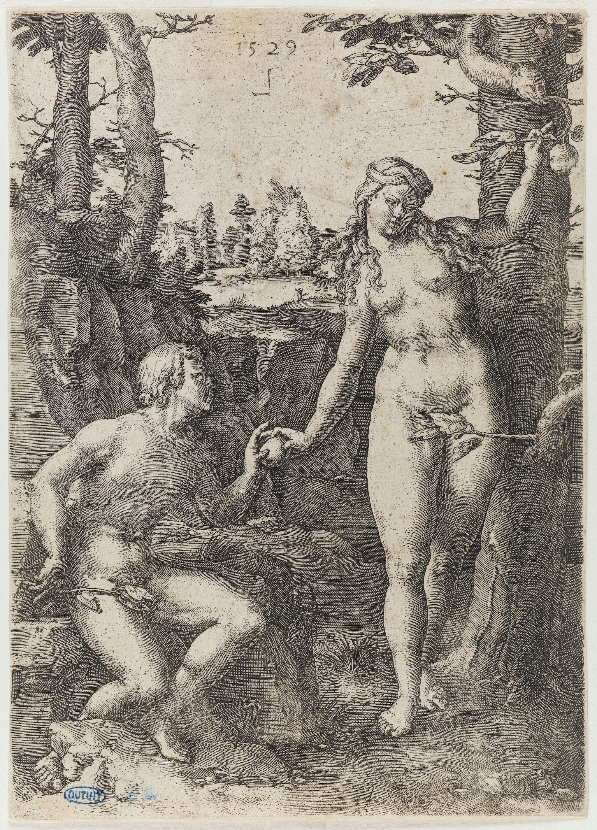 Object Image