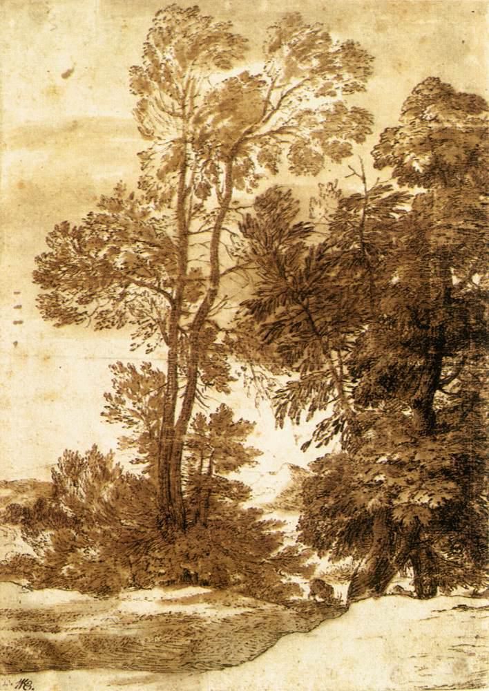 Object Image