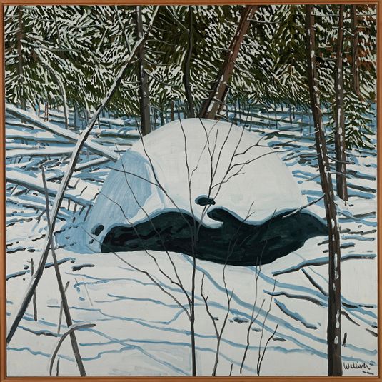 Erratic and Snow
