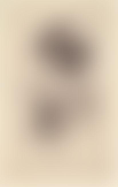 Object Image