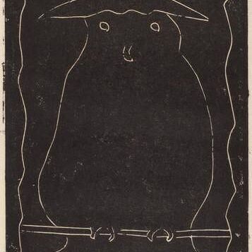 Hooded Owl