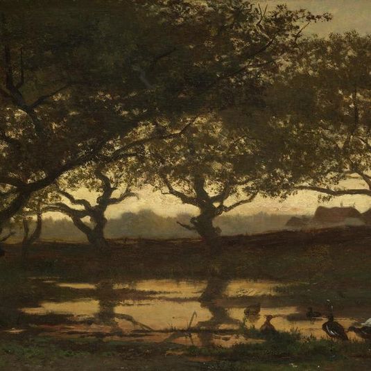 Woodland Pond at Sunset