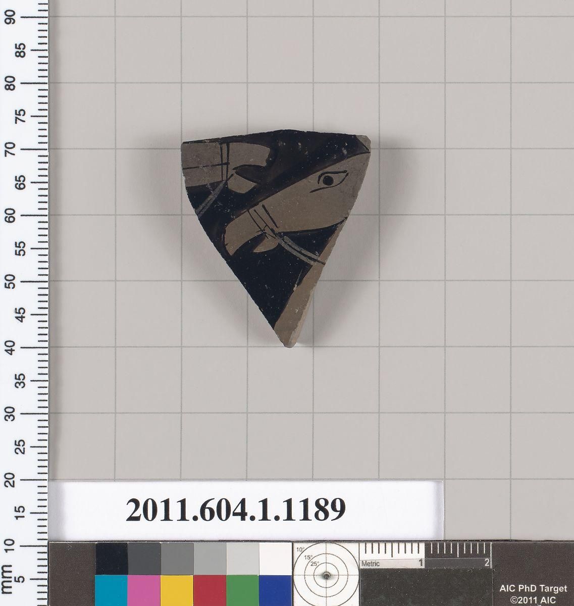 Object Image