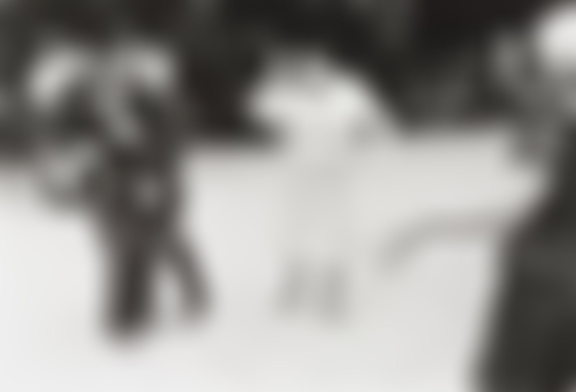 Object Image