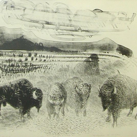 Buffaloes
