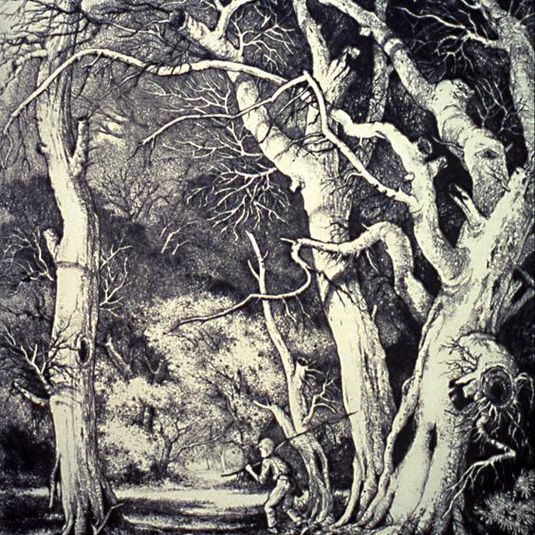 Witch Trees