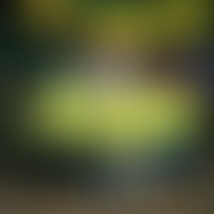 Object Image