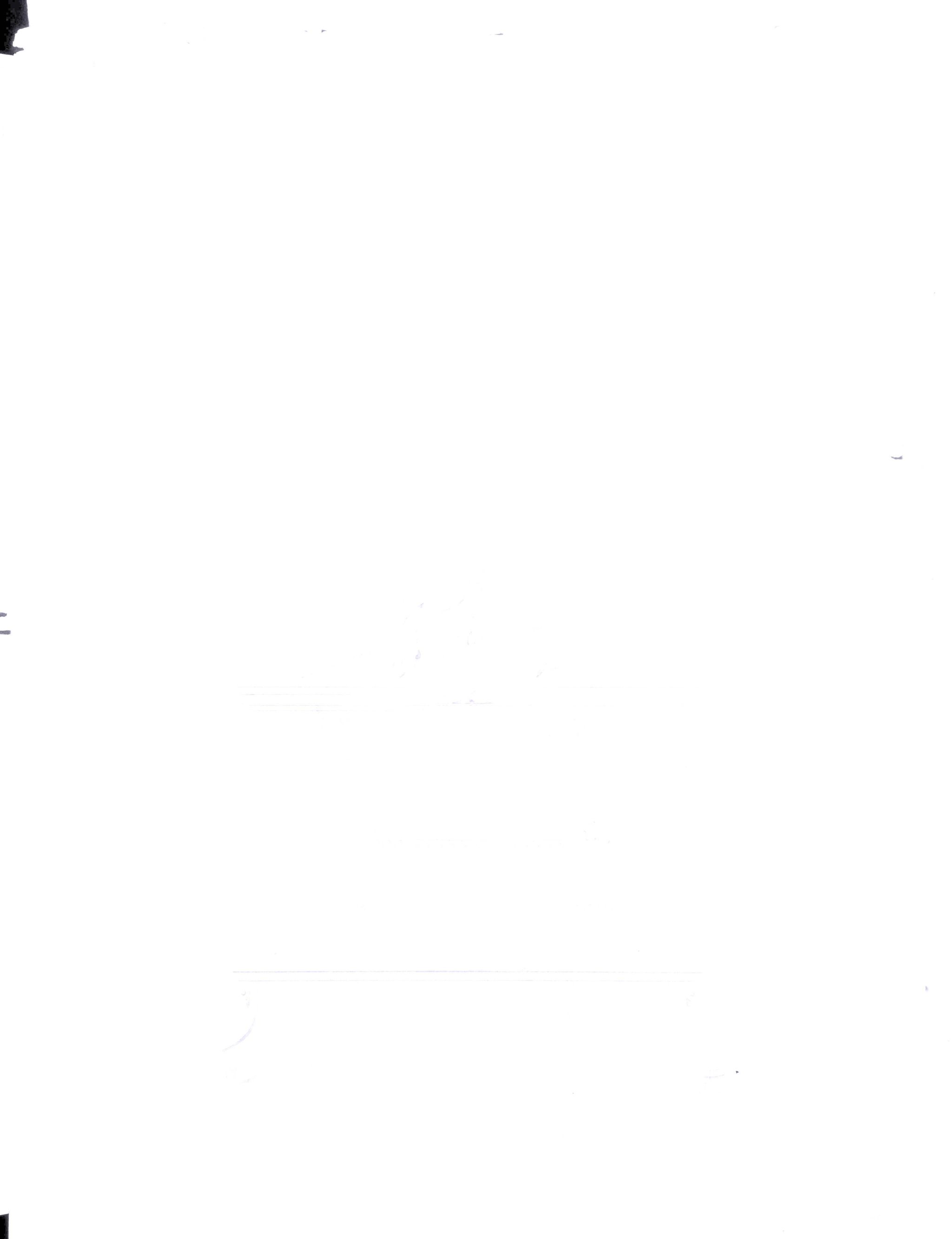 Object Image