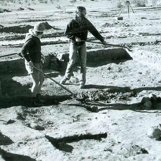 Dr. Janet Simon Bruder's Excavation and Work