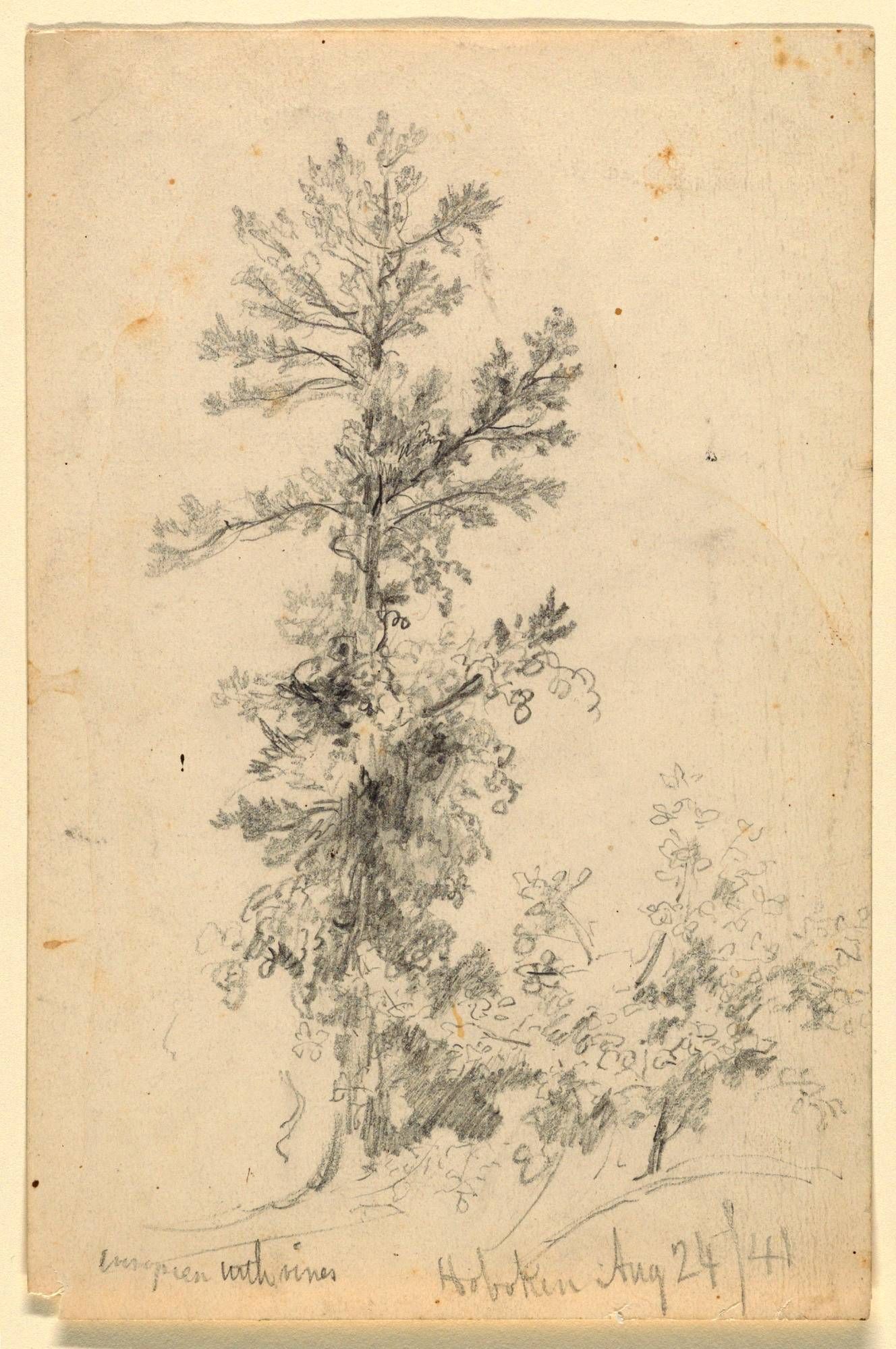 Object Image