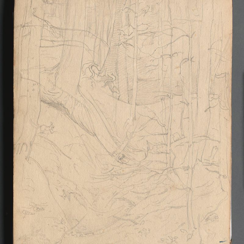 Album with Views of Rome and Surroundings, Landscape Studies, page 01a: Roman Landscape