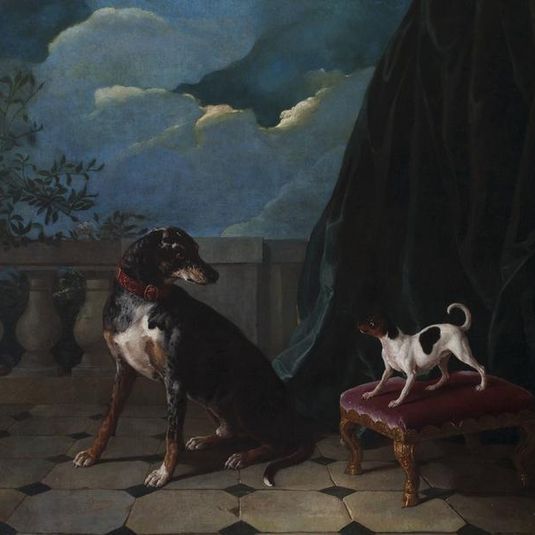Deux chiens sur une terrasse