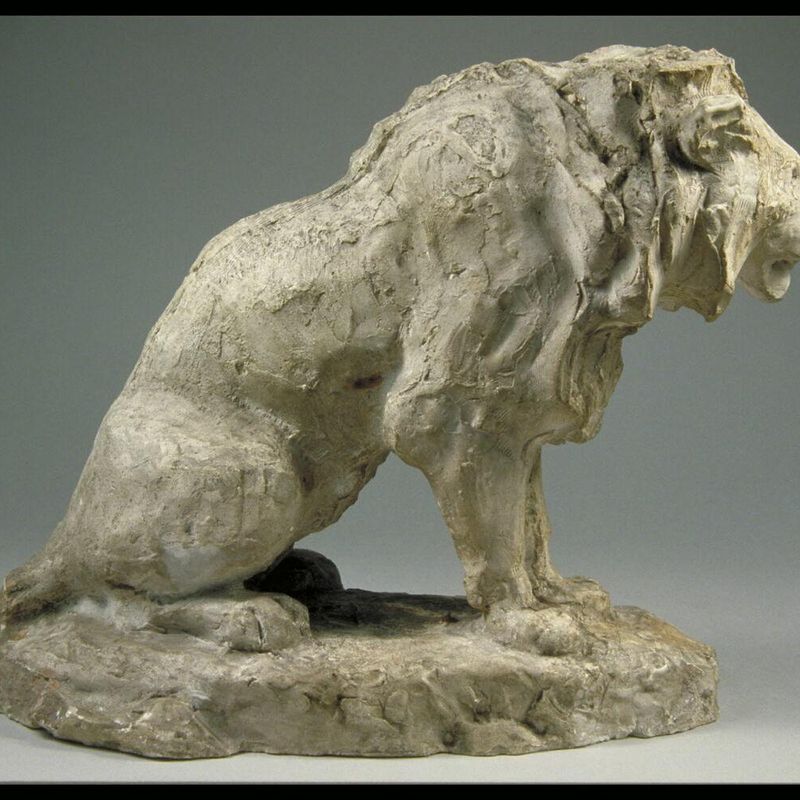 Lion assis