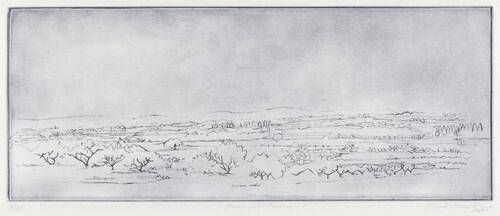 Provencal Landscape