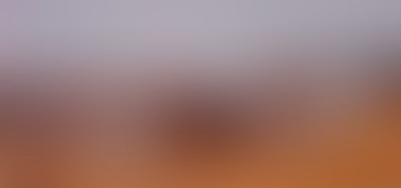 Object Image