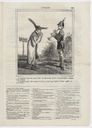Object Image Thumbnail