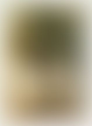 Object Image