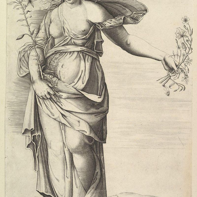 Flora